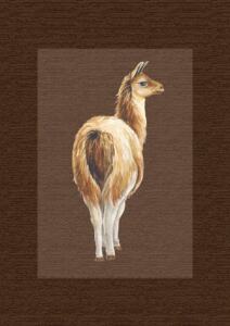 DTF Bügelbild I7 - Lama ( ca. 6,5 x 13,5cm)